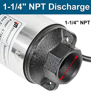 1 1/4inch NPT size 1 1/4inch NPT size