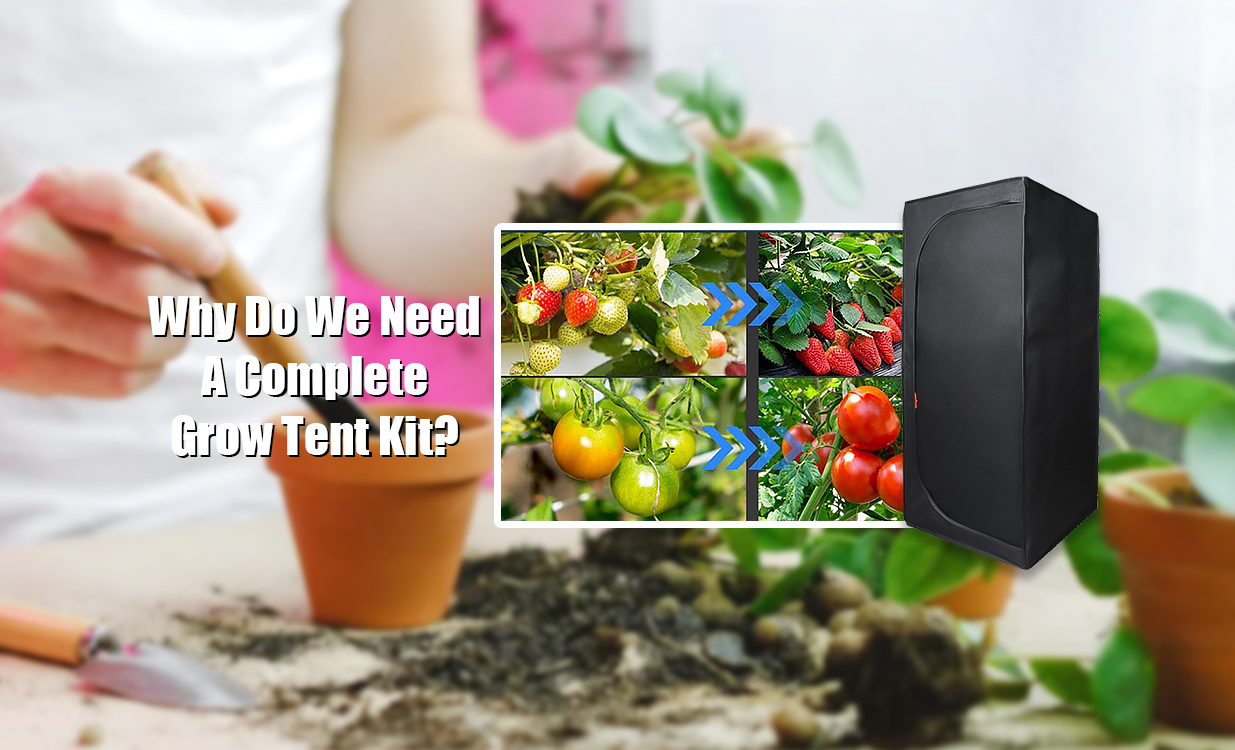 Why Do We Need A Complete Grow Tent Kit?