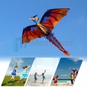 Kite