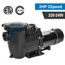 2HP 2 Speed 230V High-Flo IN-GROUND Swimming Pool Pump Motor Strainer